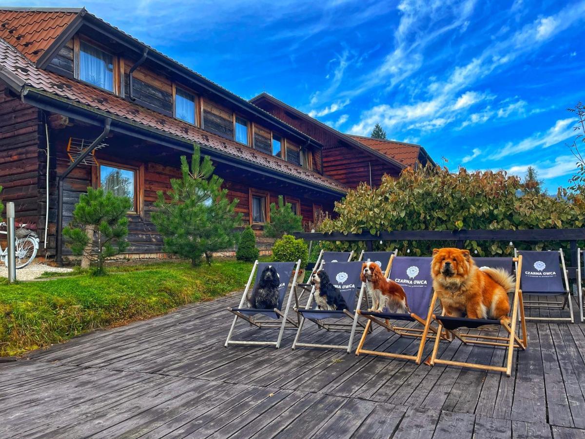 Czarna Owca Bed & Breakfast Istebna Exterior photo