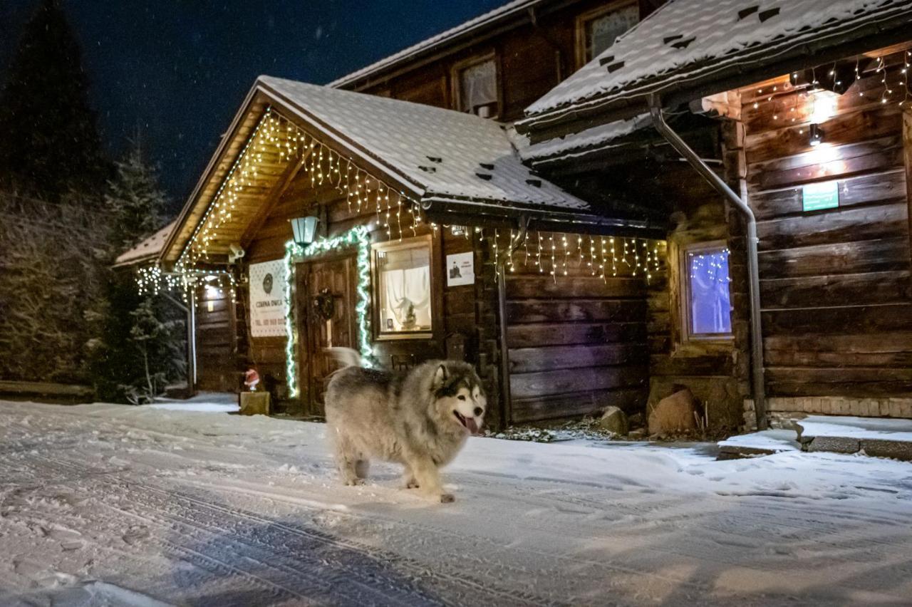 Czarna Owca Bed & Breakfast Istebna Exterior photo