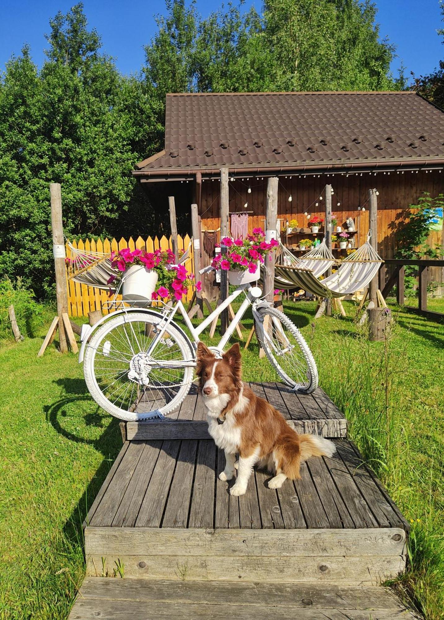Czarna Owca Bed & Breakfast Istebna Exterior photo